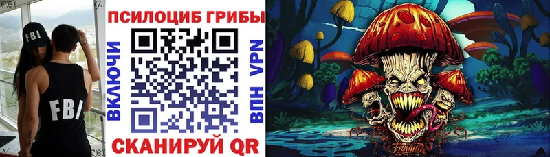 OMG зеркало цены наркотик Старая Русса Галлюциногенные грибы мицелий